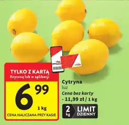 Intermarche Cytryna luz oferta