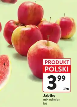 Intermarche Jabłko mix odmian oferta
