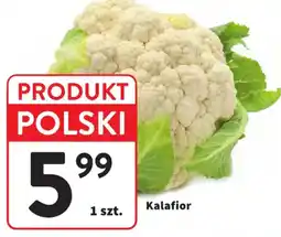 Intermarche Kalafior oferta