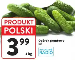 Intermarche Ogórek gruntowy luz oferta