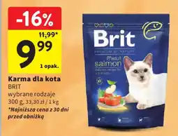 Intermarche Karma dla kota BRIT wybrane rodzaje oferta