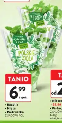 Intermarche Bazylia Z Sadów I Pól oferta