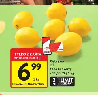 Intermarche Cytryna luz oferta