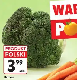 Intermarche Brokuł polski oferta