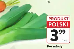 Intermarche Por młody polski oferta
