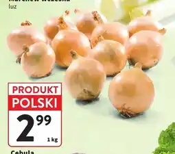 Intermarche Cebula łuska luz polska oferta