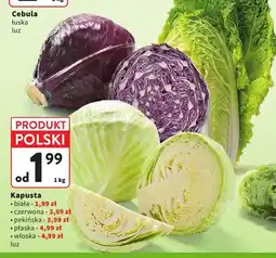 Intermarche Kapusta czerwona luz polska oferta