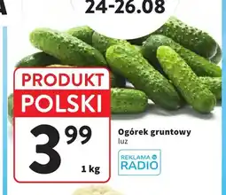 Intermarche Ogórek gruntowy luz oferta