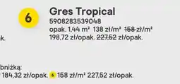 Castorama Gres Tropical 120x60 cm oferta