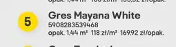 Castorama Gres Mayana White 120x60 cm oferta