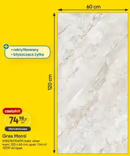 Castorama Gres Monti oferta