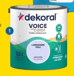 Castorama Farba kolorowa Dekoral Voice of Color oferta