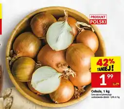 Twój Market Cebula polska oferta