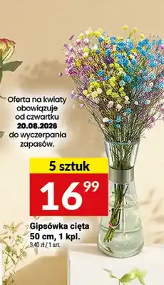 Twój Market Gipsówka cięta oferta