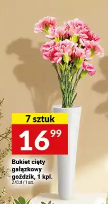 Twój Market Bukiet cięty gałązkowy goździk oferta