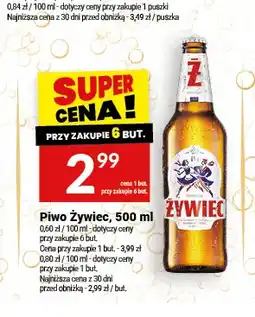 Twój Market Piwo Żywiec oferta