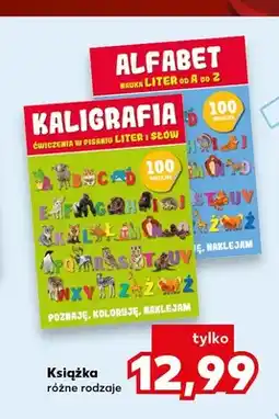 Kaufland Książka Alfabet oferta