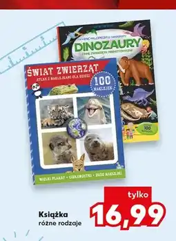 Kaufland Książka Dinozaury oferta