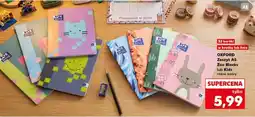 Kaufland OXFORD Zeszyt A5 Zoo Blocks lub Kids oferta