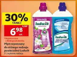 Auchan LUDWIK oferta