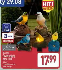 ALDI BELAVI Ćwierkający ptak LED oferta