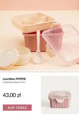 Homla Lunchbox Poppie z łyżeczką różowy oferta