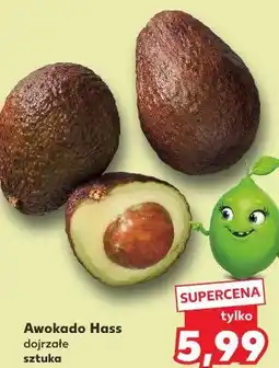Kaufland Awokado Hass dojrzałe sztuka oferta