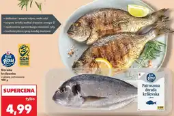 Kaufland Blue Bay Dorada królewska z głową, patroszona oferta