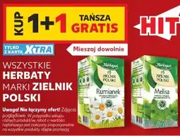 Kaufland Wszystkie herbaty marki Zielnik Polski oferta