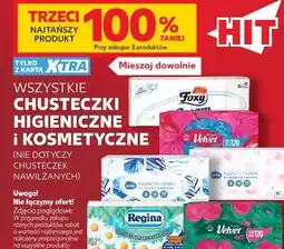 Kaufland WSZYSTKIE CHUSTECZKI HIGIENICZNE I KOSMETYCZNE oferta