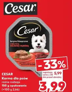 Kaufland Cesar Karma dla psów oferta