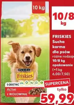 Kaufland Friskies Sucha karma dla psów oferta