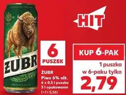 Kaufland Żubr Piwo 6% oferta