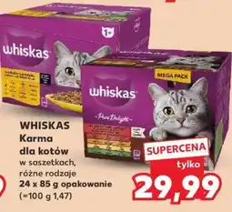 Kaufland WHISKAS Karma dla kotów oferta