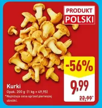Kurki