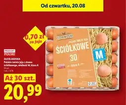 Lidl Jajka kurze Polskie świeże z chowu ściółkowego Złota Nioska oferta