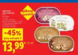 Lidl Lody jogurtowe z owocami leśnymi Carte D'Or Yoghurt & Forest Fruit oferta