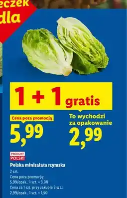 Lidl Minisałata rzymska polska Ryneczek Lidla oferta