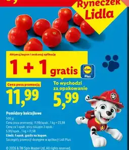 Lidl Pomidory koktajlowe oferta