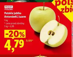 Lidl Jabłka Antonówki polskie luzem oferta