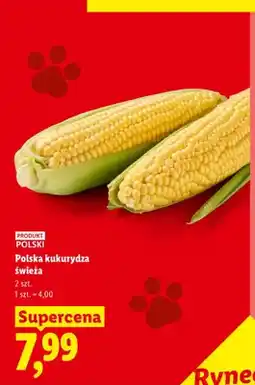 Lidl Kukurydza świeża polska oferta