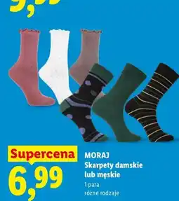 Lidl Skarpety damskie Moraj oferta