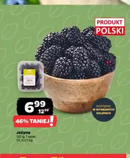 Netto Jeżyna polska oferta