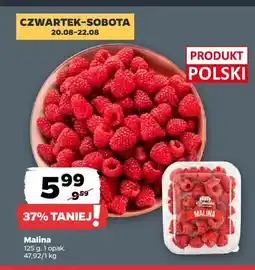 Netto Malina polska oferta