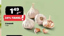 Netto Czosnek oferta