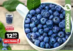 Netto Borówka amerykańska polska oferta