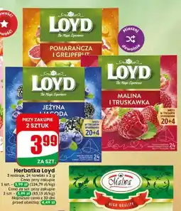 Dino Herbatka owocowa Loyd jeżyna i jagoda oferta