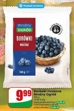 Dino Borówki mrożone Mroźny Ogród oferta
