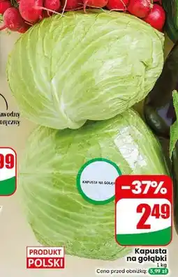 Dino Kapusta na gołąbki polska oferta