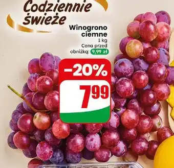 Dino Winogrono ciemne oferta